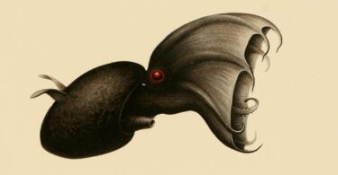 Vilém Flusser, Vampyroteuthis infernalis,