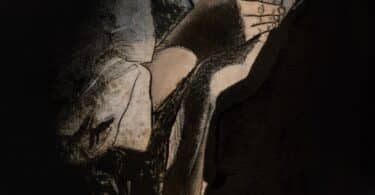 "L'anarchiste", Soth Polin. Illustré par Séra © La Table Ronde
