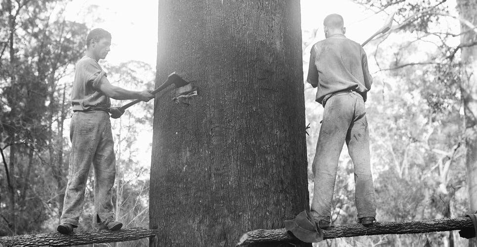 Mathias Bonneau , Bûcheron