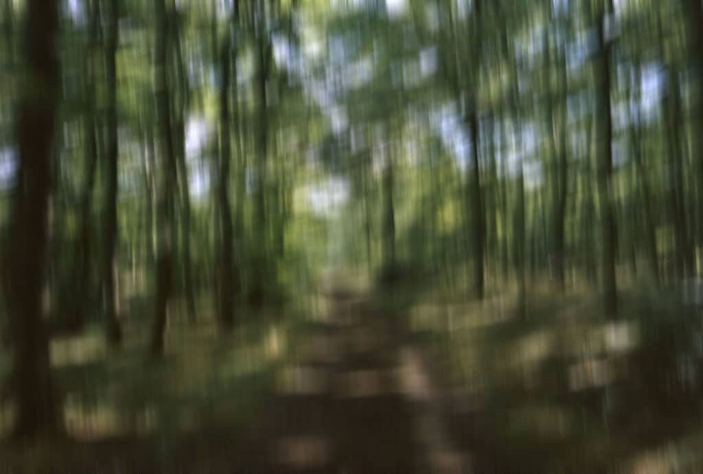 Wolfgang Hermann, Paysage de fuite
