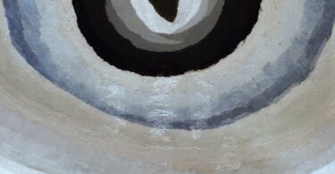 Nara Vidal, Pur