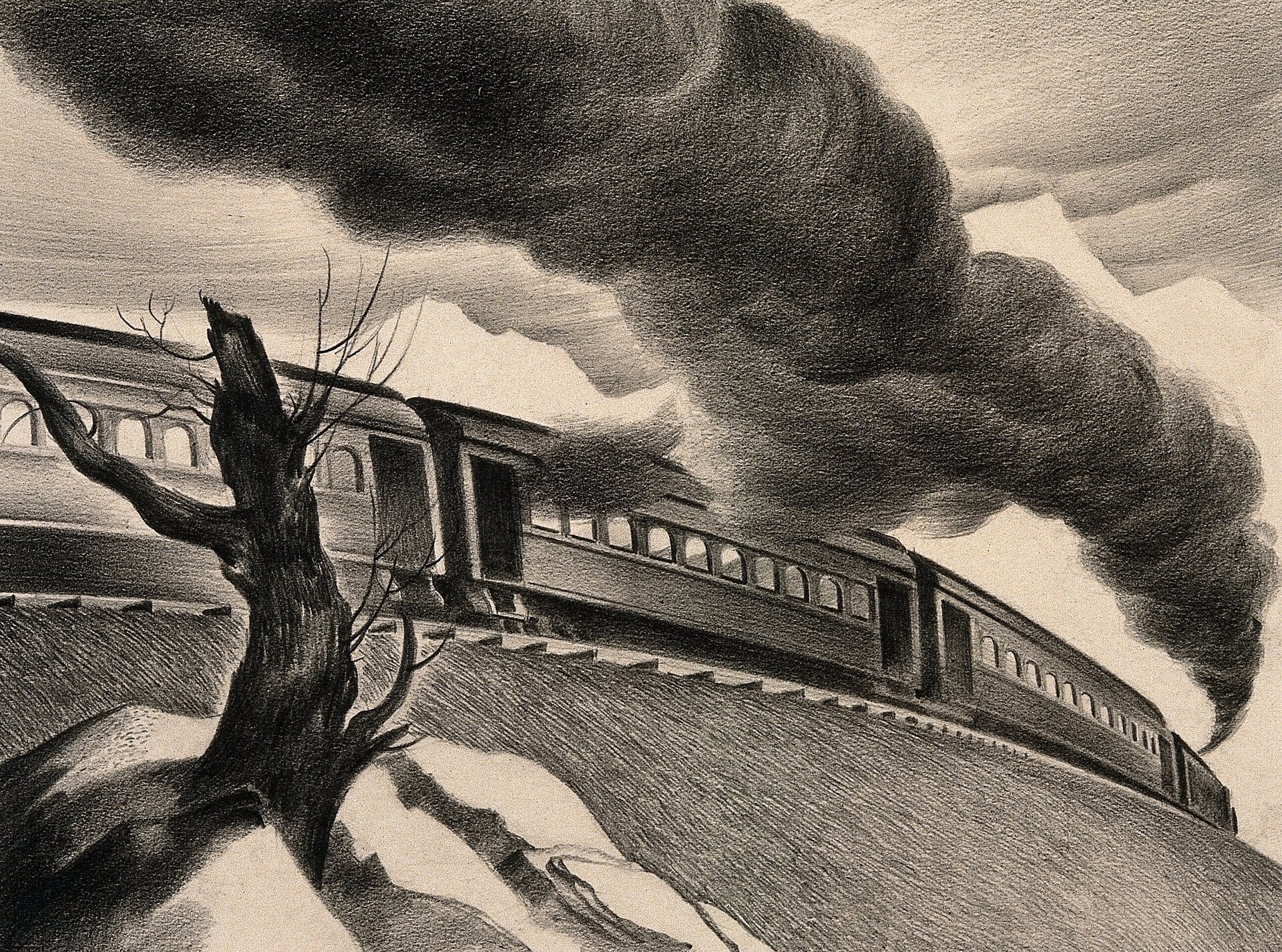 Aharon Appelfeld, La Ligne