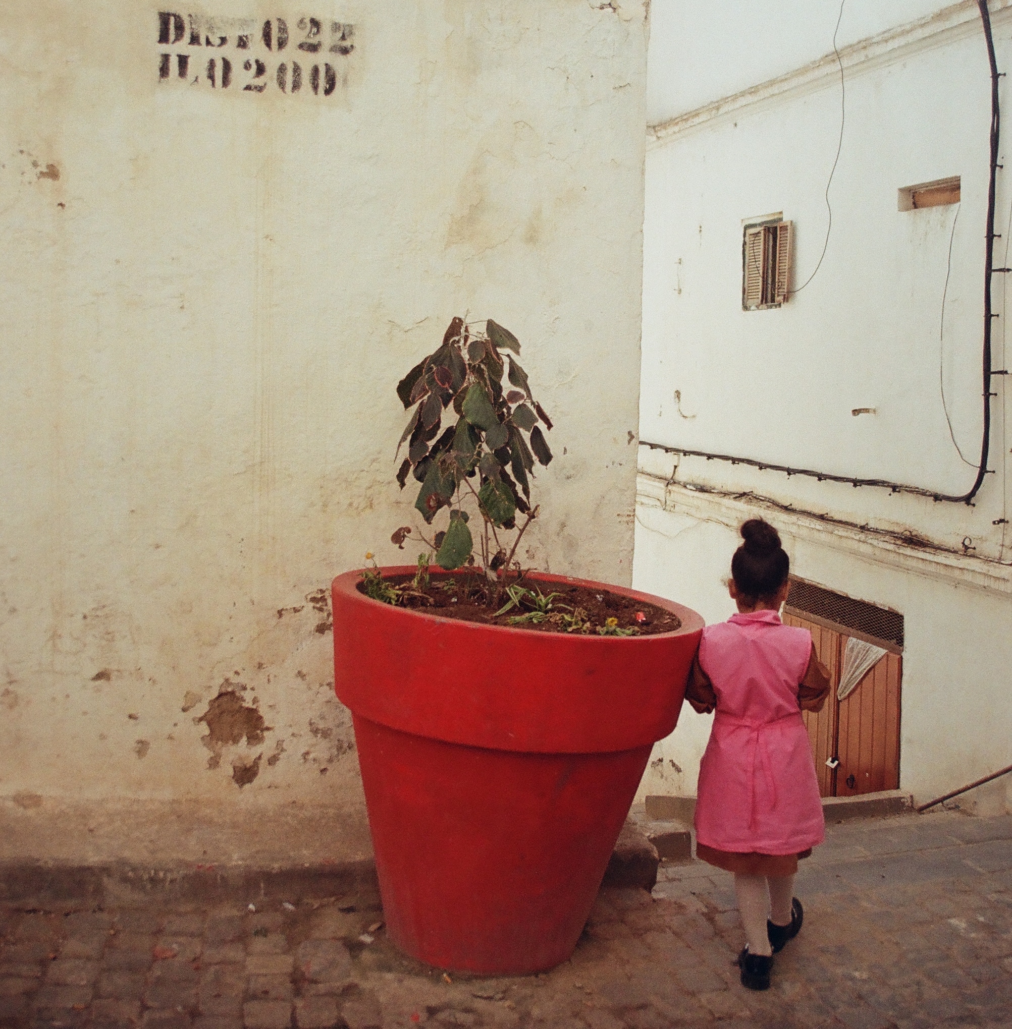 Izza Amar, La vie d’Abdèle