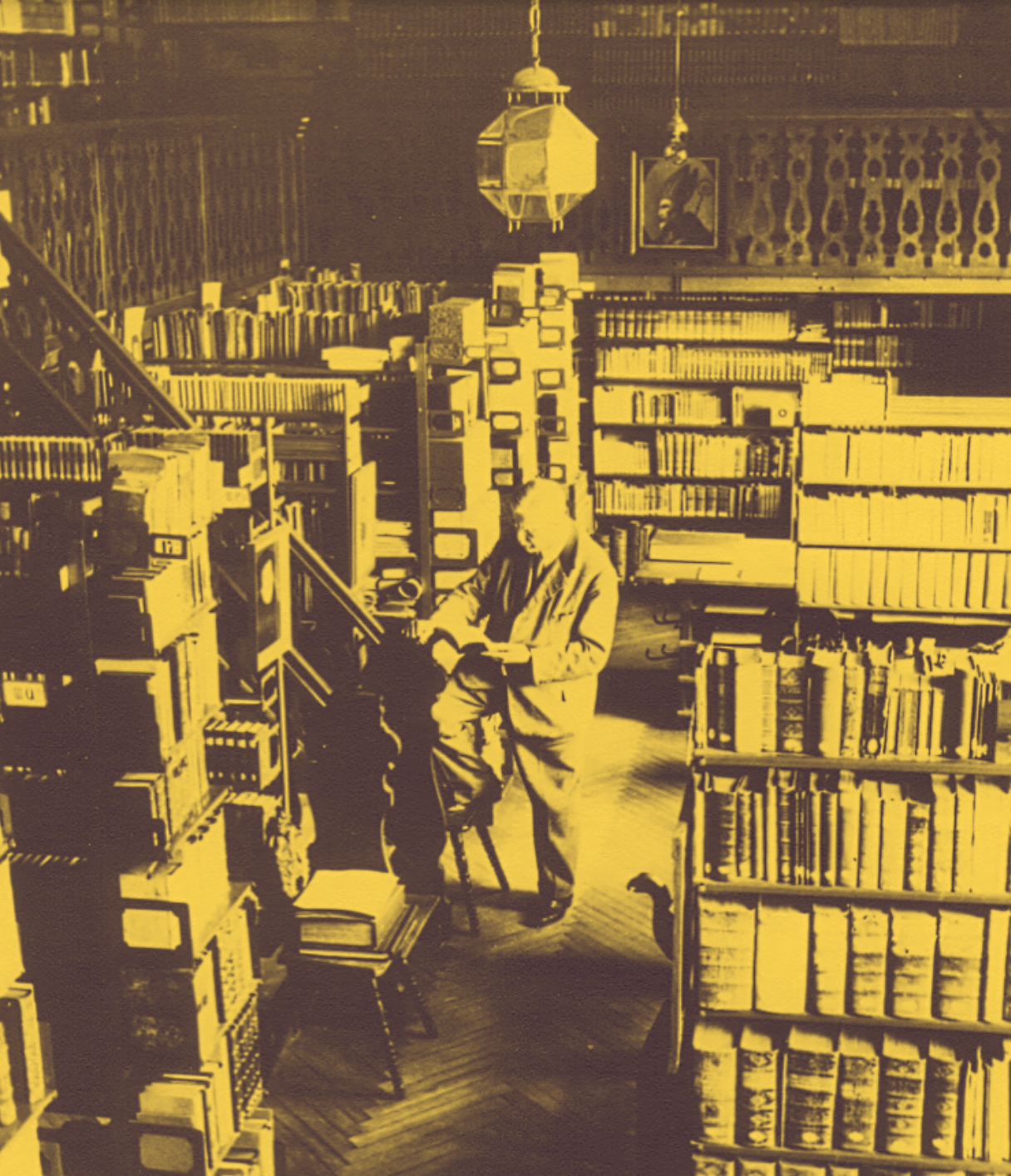 Vanessa de Senarclens, La bibliothèque retrouvée,