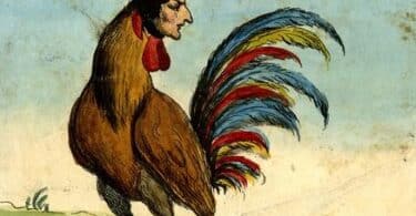 Le Paradoxe français, Une nouvelle histoire de la France contemporaine, Emile Chabal,