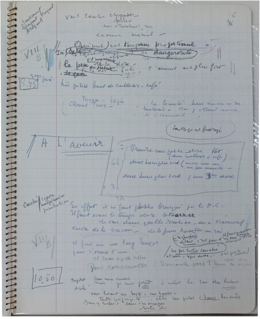 Muriel Pic, Leçons de possession. Les archives de la drogue d’Henri Michaux