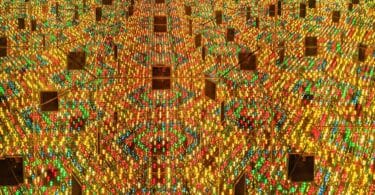 Muriel Pic, Leçons de possession. Les archives de la drogue d’Henri Michaux