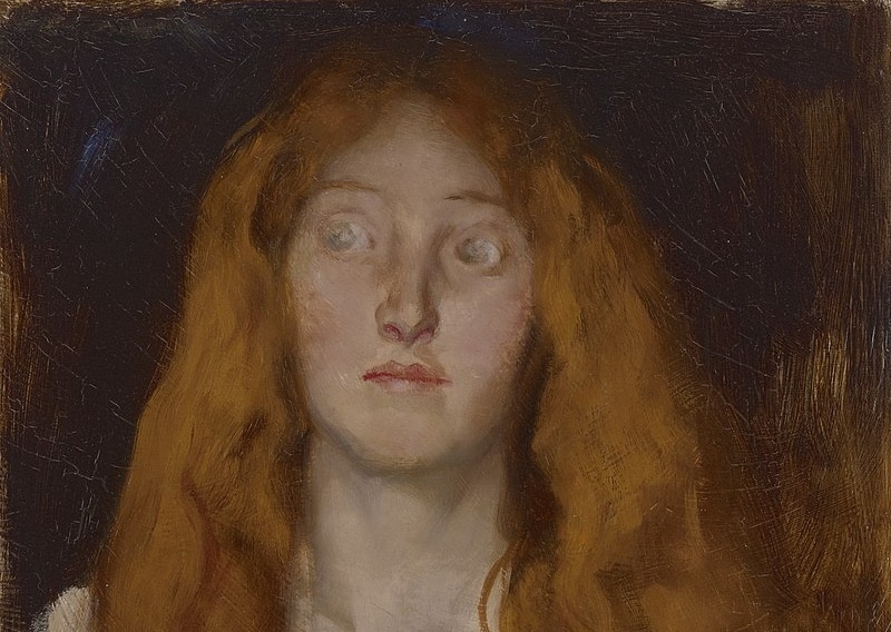 Anne Serre, Vertu et Rosalinde,