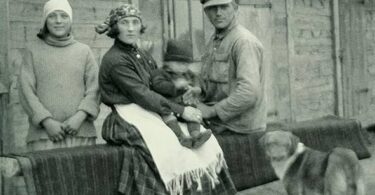 Hubert Klimko, Les voleurs de sureaux, Alia Trabucco Zerán, Asassines. Peter Beinart / Being Jewish After the Destruction of Gaza: A Reckoning.  Angela Davis, Sylvia Federici, Patricia Hill Collins, L’effondrement de la démocratie ? Essais de résistance