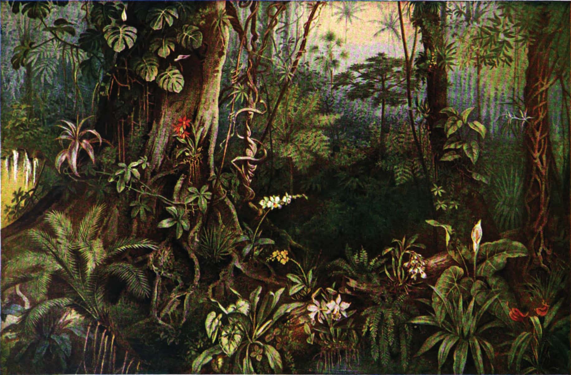 Gabriela Cabezón Cámara, Les griffes de la forêt