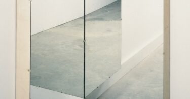 Lise Charles, Paranoïa.