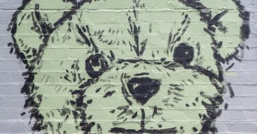 Allen S. Weiss, Philosophie de Teddy