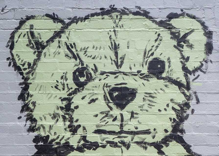 Allen S. Weiss, Philosophie de Teddy