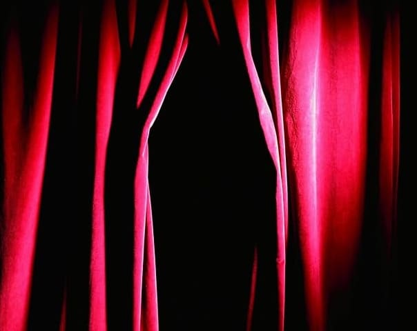 Philip Roth Romans, 1993-2007 Édition publiée sous la direction de Philippe Jaworski, avec la collaboration de Nicolas Cavaillès, Aurélie Guillain et Paule Lévy. Bibliothèque de la Pléiade, 1664 p., 70 € jusqu’au 31/12/2025 Marc Weitzmann La part sauvage. Le monde de Philip Roth et le chaos américain : retour sur vingt ans d’amitié Grasset, 384 p., 24 € Ira Nadel Philip Roth: A la recherche de Marcel Proust