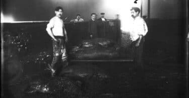 Réjane Sénac, Par effraction. Rendre visible la question animale