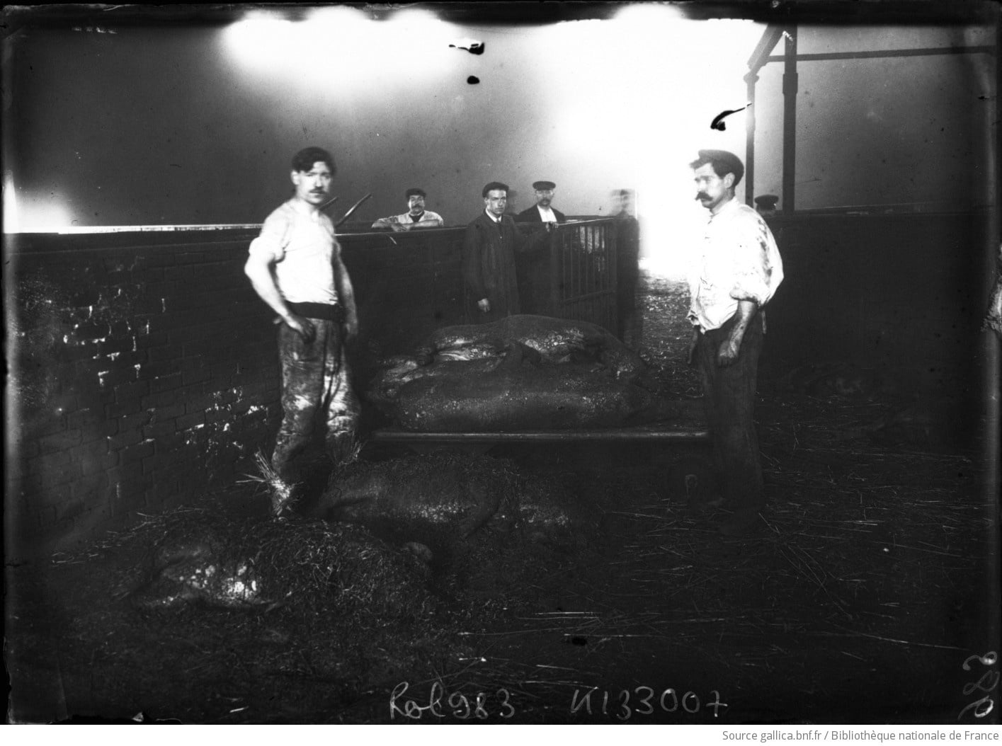 Réjane Sénac, Par effraction. Rendre visible la question animale