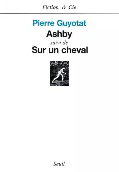 Bernard Comment, Fiction & Cie