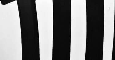 Raphaël Sigal, Géographie de l’oubli, Pavillons, Robert Laffont Charles Duquesnoy, Nuta. Immigré juif polonais, cordonnier à Paris (1900-1967),