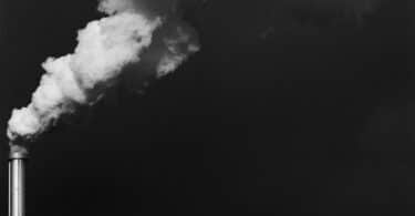 Laure Teullières, Steve Hagimont, Jean-Michel Hupé, Greenbacklash. Qui veut la peau de l’écologie ?,