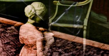 Plongeons dans ce travail au plus près des œuvres avec La Femelle du Requin qui fête ses trente ans, Europe et La revue de belles-lettres.