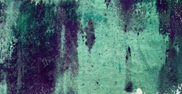 Remontée des eaux de Jean-Pierre Chambon