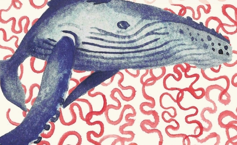 "Le Pacte des baleines", Witi Ihimaera Sigrid Nunez / Les vulnérables Alfred Döblin, Monts, mers et géants