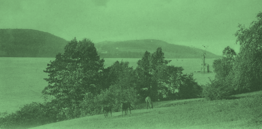 Susan Fenimore Cooper, Chroniques de la vie rurale