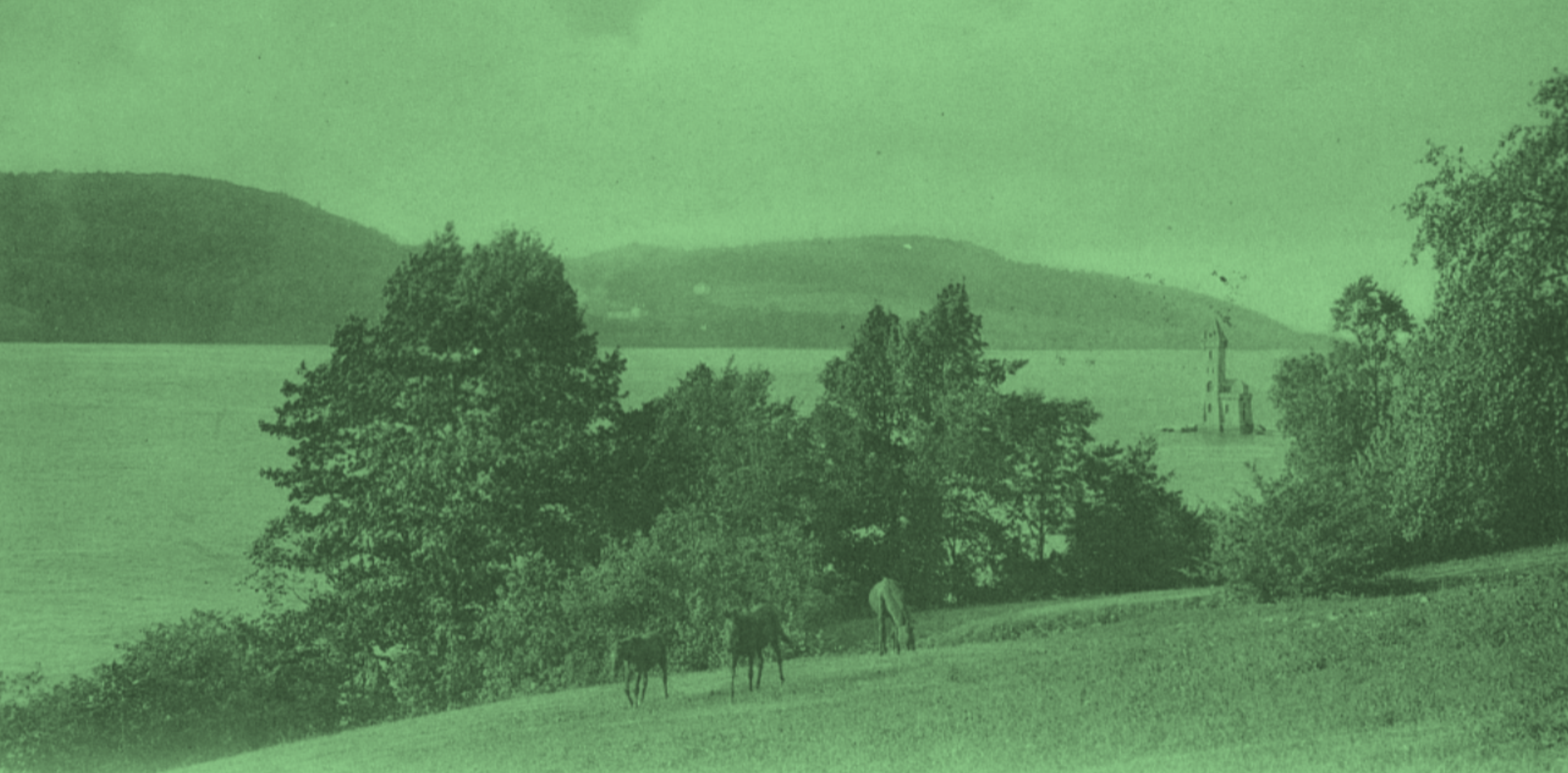 Susan Fenimore Cooper, Chroniques de la vie rurale