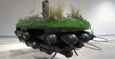 Audrey Pleynet, Sintonia. Le Bélial', 416 p., 22,90 € Lucie Heder, La grande verdure. La Volte, 224 p., 19 € Kritika H. Rao, Les survivants du ciel.