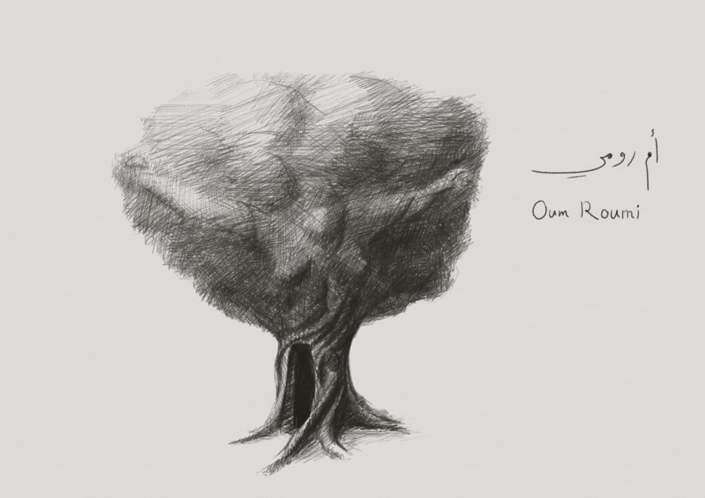 "Le secret de l’huile", de Walid Daqqa © Dessins de Ram Sallam/Terrasses éditions