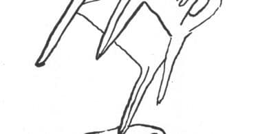 Retourner le monde, par Octave Debary, avec des dessins d’Aurorre Lopez