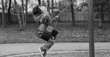 Fernando Aramburu, Le Petit