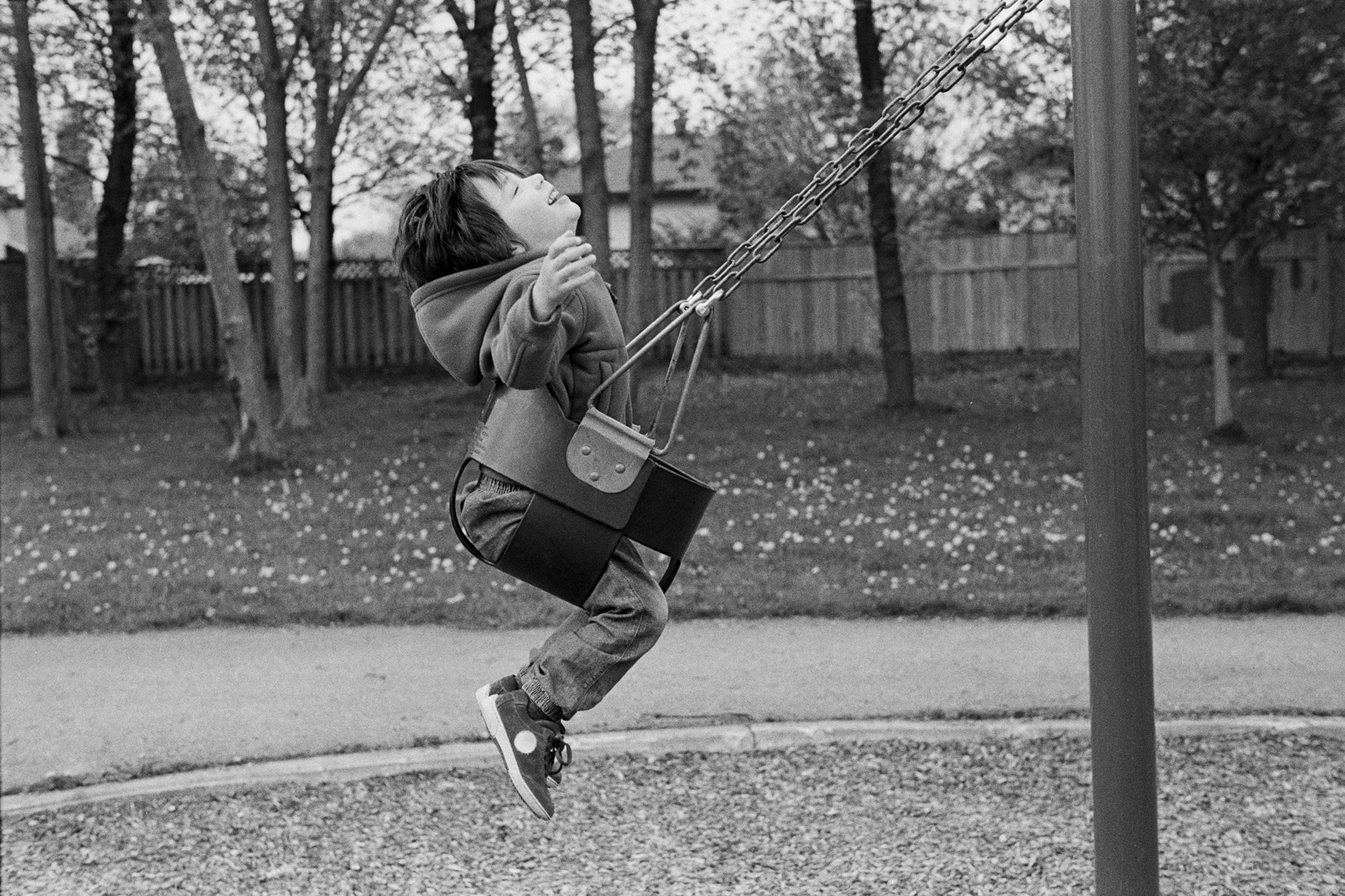 Fernando Aramburu, Le Petit