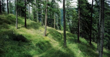 Matias Riikonen, Matara