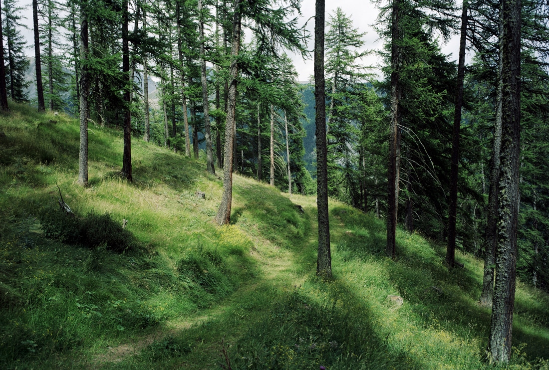 Matias Riikonen, Matara