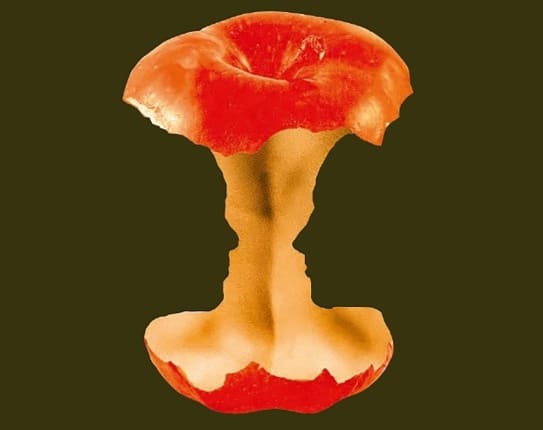 "Chair", de David Szalay (Détail) © Albin Michel