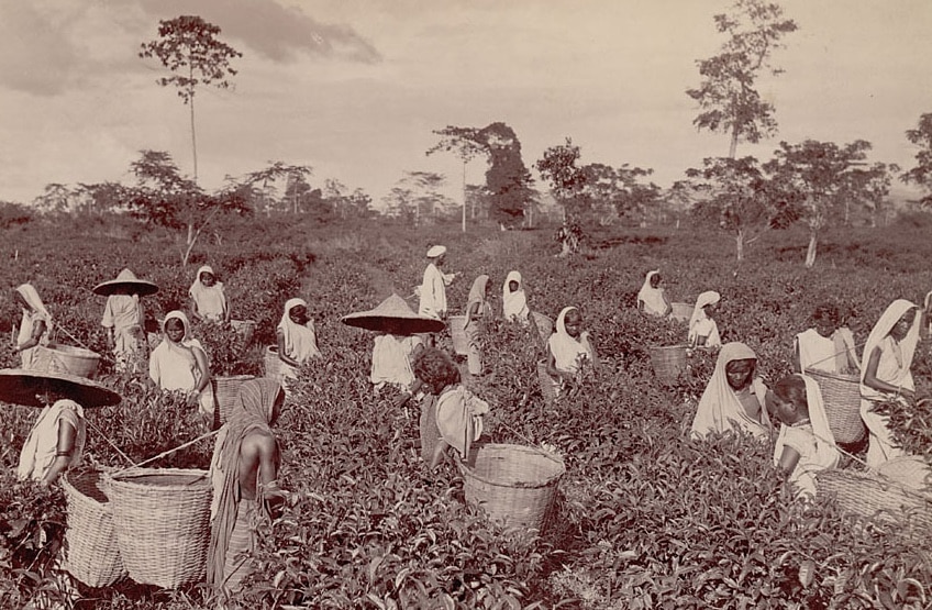 Empires. Une histoire sociale de l’environnement