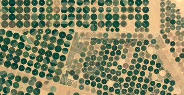 Vaclav SMIL, Comment nourrir le monde, L’histoire et l’avenir de l’alimentation