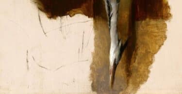 Pauline Peyrade, Les Habitantes