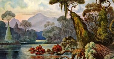 Corinne Morel Darleux, Chimères tropicales