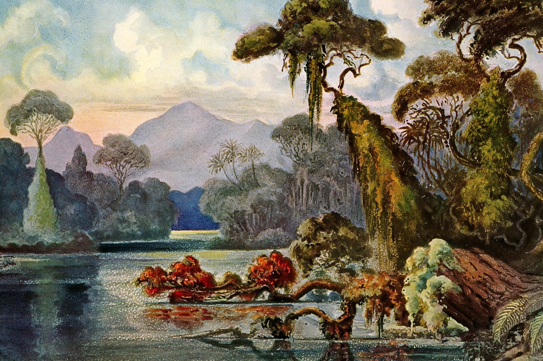 Corinne Morel Darleux, Chimères tropicales