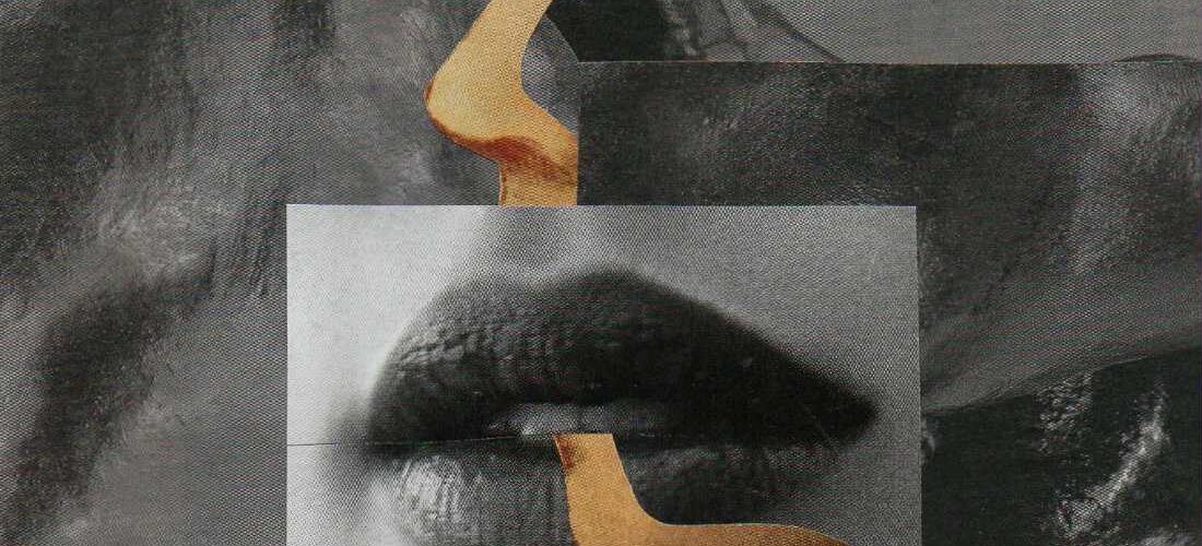 Jean-Marc Sourdillon, François Rannou, Ce temps nôtre écru. Tout ce qui vole n’est pas oiseau. Elvira Hernández Francis Combes, Certificat de vie,