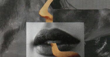 Jean-Marc Sourdillon, François Rannou, Ce temps nôtre écru. Tout ce qui vole n’est pas oiseau. Elvira Hernández Francis Combes, Certificat de vie,