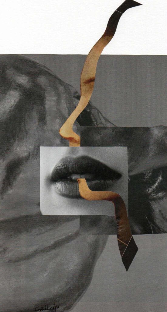 Jean-Marc Sourdillon, François Rannou, Ce temps nôtre écru. Tout ce qui vole n’est pas oiseau. Elvira Hernández Francis Combes, Certificat de vie,