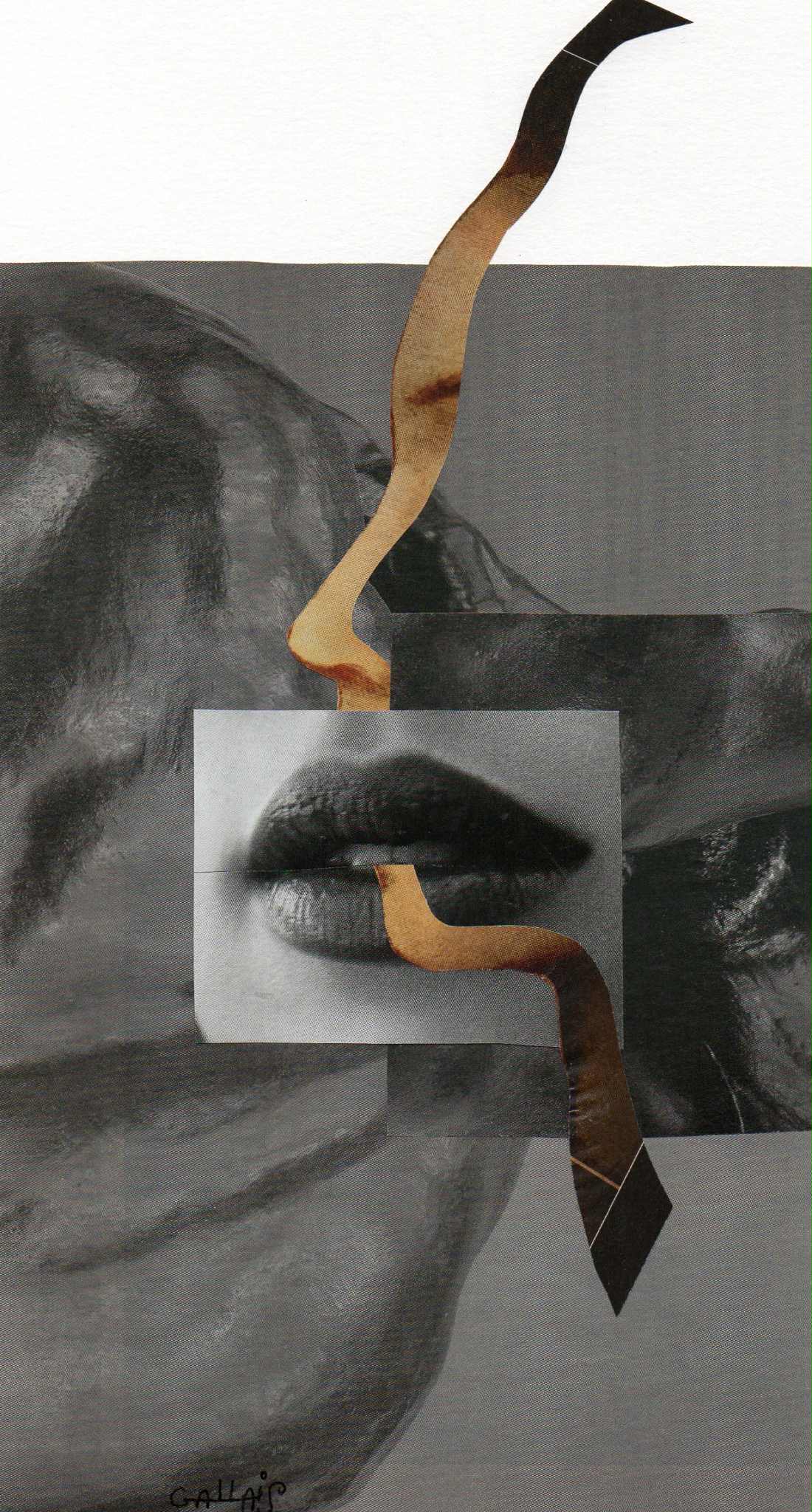 Jean-Marc Sourdillon, François Rannou, Ce temps nôtre écru. Tout ce qui vole n’est pas oiseau. Elvira Hernández Francis Combes, Certificat de vie,