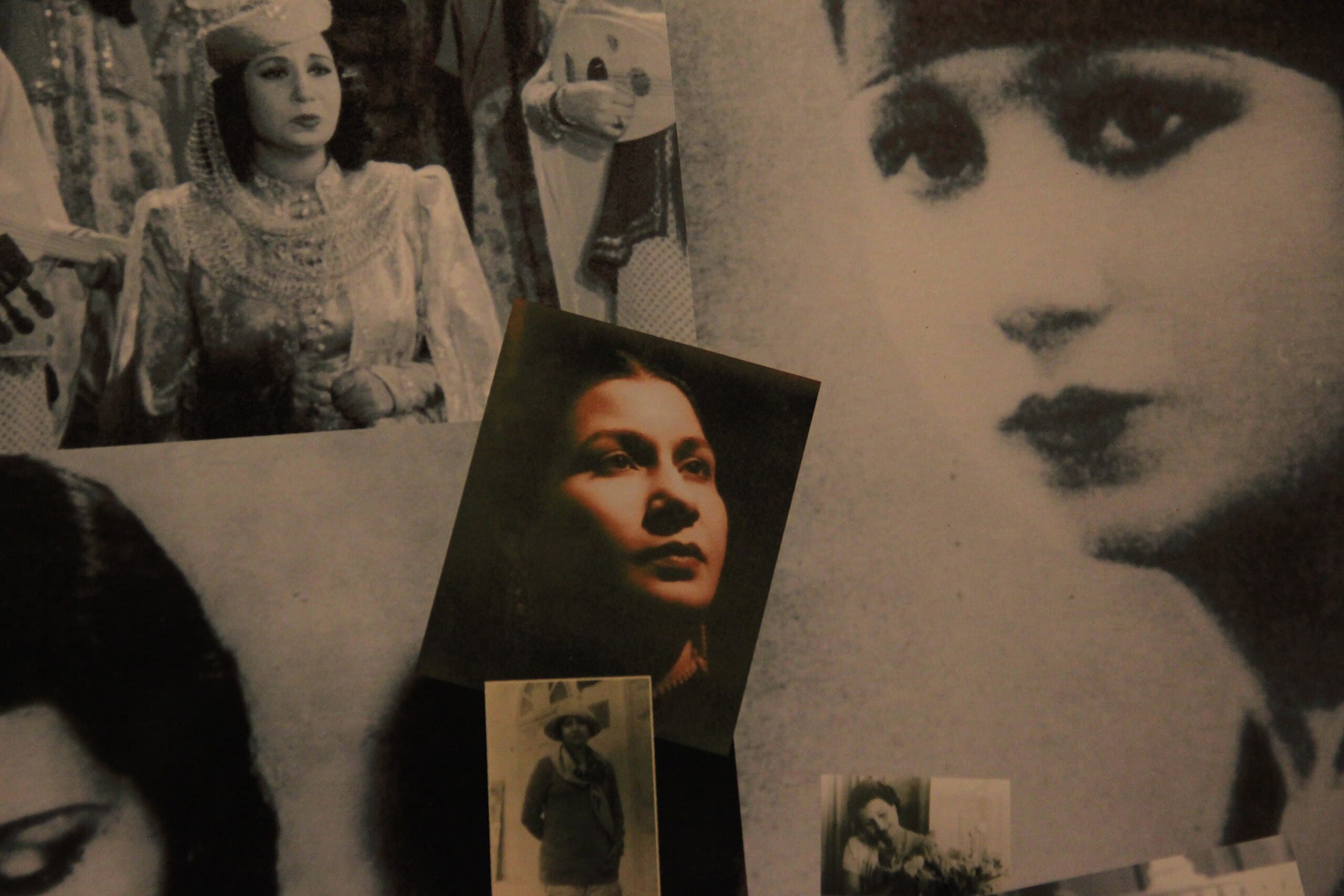 Agnès Desarthe, Qui se ressemble