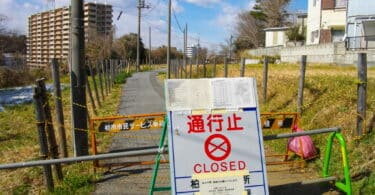 Sophie Houdart, Ce territoire qui comme une pulsation