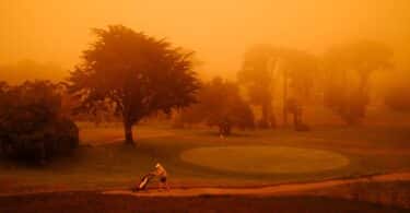 Wim Carton, Andreas Malm | Overshoot. Résister à l’idéologie du dépassement.