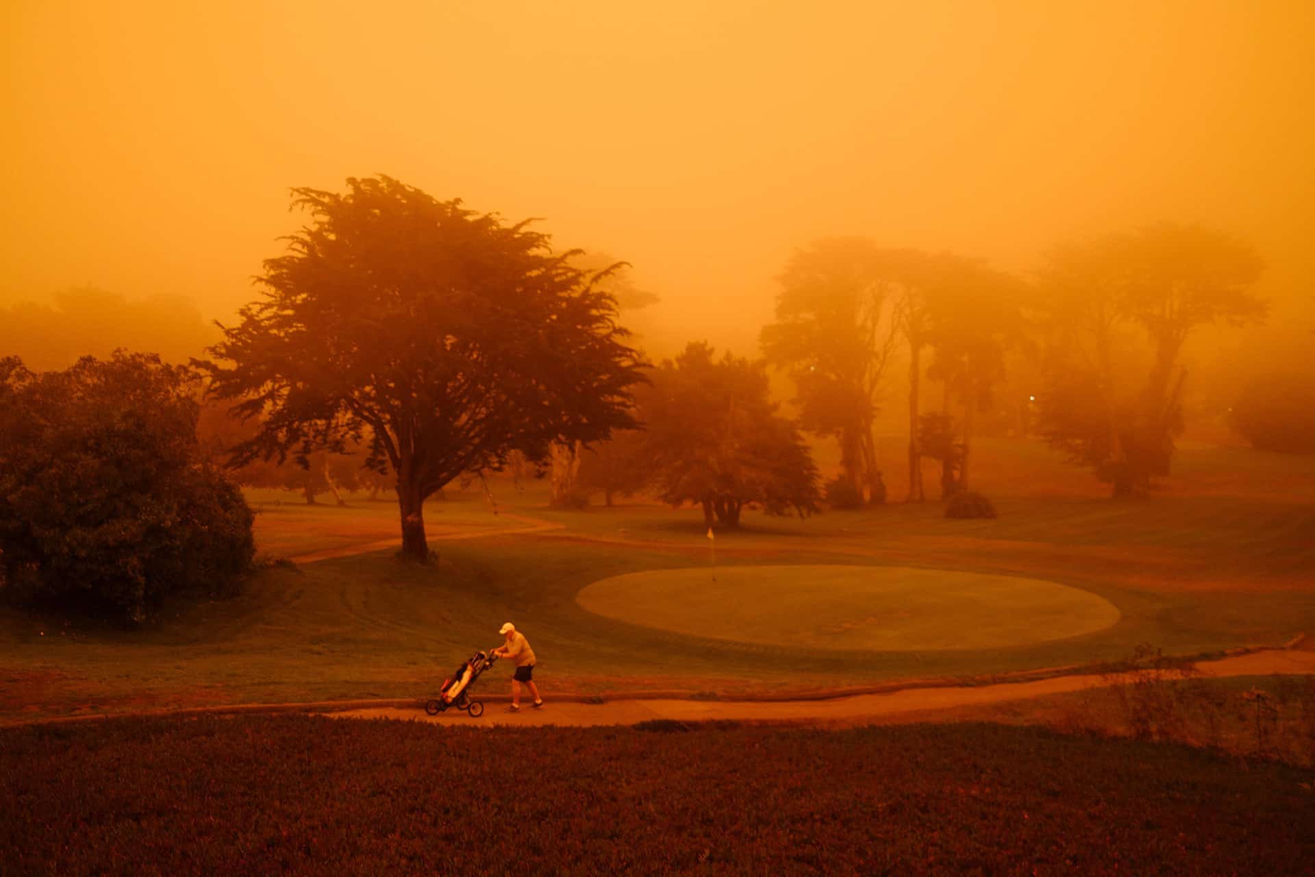 Wim Carton, Andreas Malm | Overshoot. Résister à l’idéologie du dépassement.