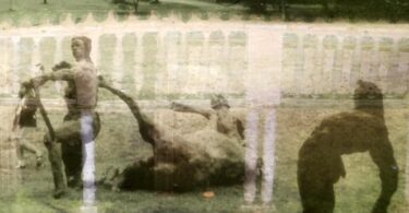 Terre des sans-patrie, quatrième roman, le premier à être édité en France, de Mahmoud Soumaré.